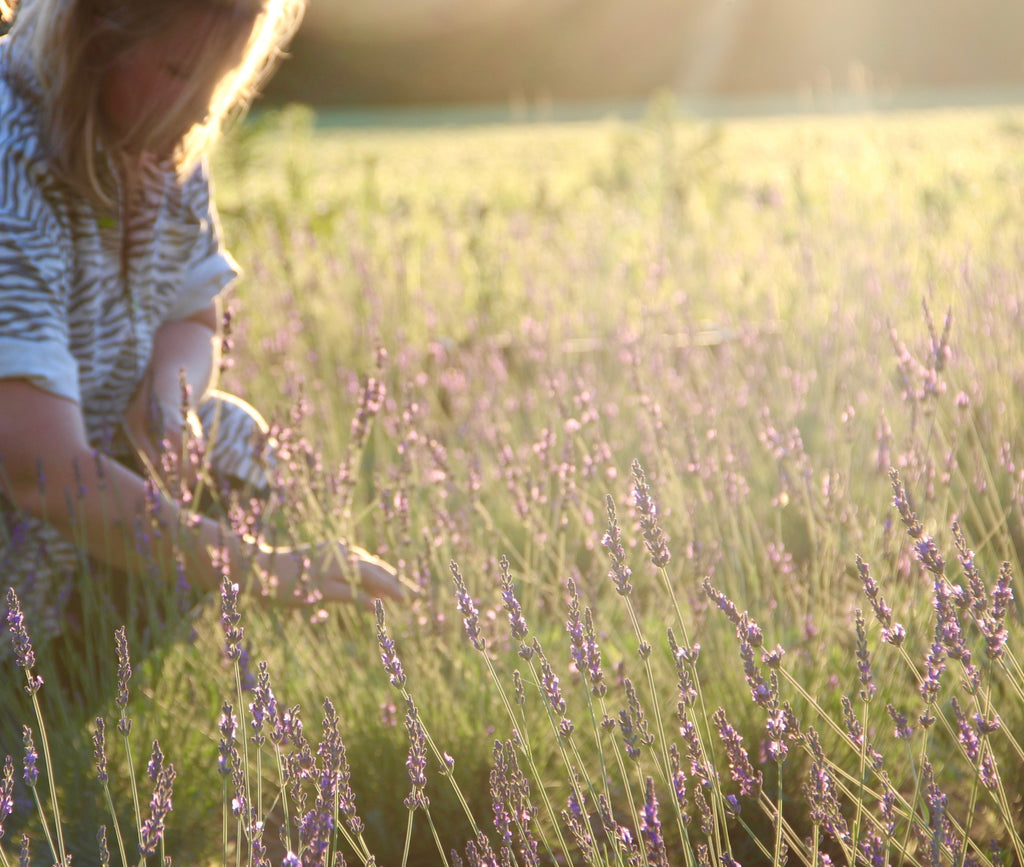 Slightly more about Gemma, Owner & Operator of Bayfield Lavender Farm